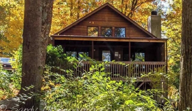 Honeymoon cabin for 2 w/hottub 6mi to DT Asheville