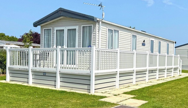 Honeysuckle Prestige