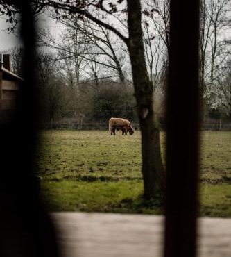 Honeywood Farm Cabins