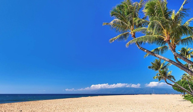 Honua Kai | 3 FREE CARS | KBM Resorts | Exceptional Value | 3 Units, 7 Bedrooms | HK ML-3915