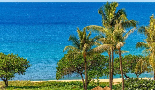 Honua Kai | 4 Free Rental Cars | KBM Resorts | Whale Watching | 4 Multi-Listing Units, 9 Bedrooms | HK ML-3113