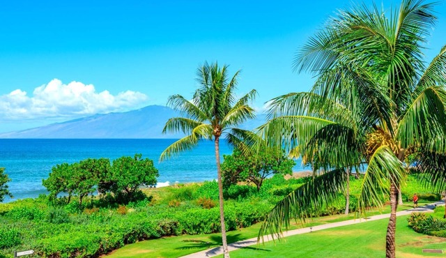 Honua Kai Hokulani | 4 Free Rental Cars | KBM Resorts | Ocean Front | 4 Units, 10 Bedrooms | ML-1105