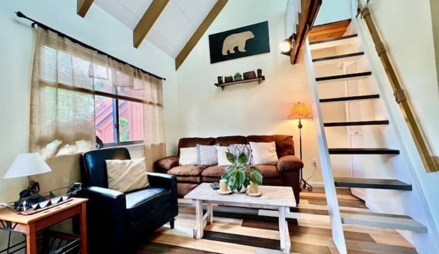 HooDoo Loft - convenient & comphy condo in Davis