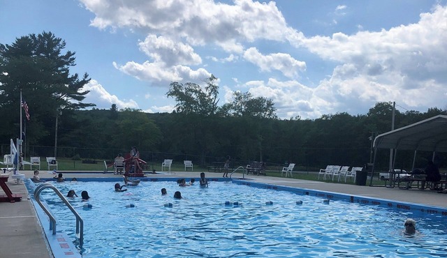 Hoots Roost: Catskills glamper's dream. BBQ, W/D, 100+Mbps DigitalNomad friendly