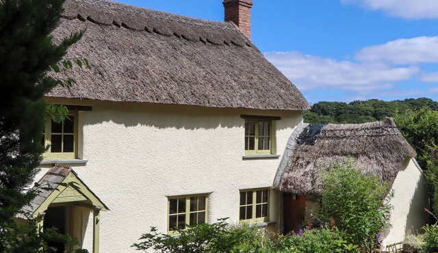 HOPE COTTAGE, pet friendly, country holiday cottage in Riddlecombe