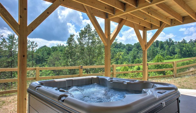 Hops and Dreams by Carolina Mornings | Hot Tub, Mtn Views⛰️+Biltmore Pass