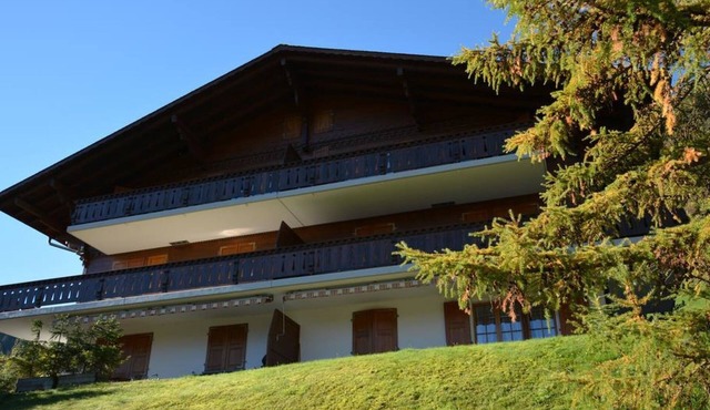 Hornflue (Wohlwender) by Interhome