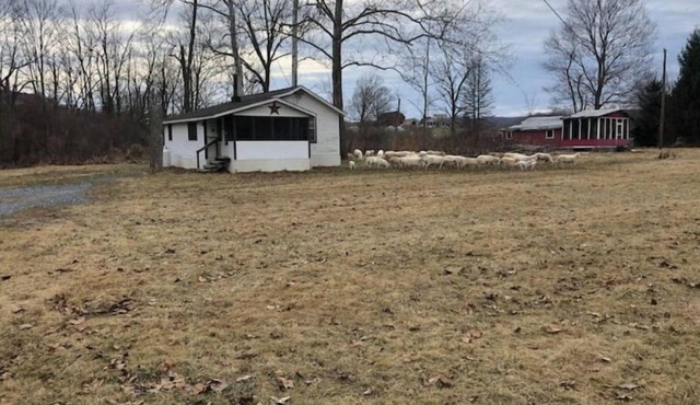 Horns Cabins - The Stargazer Cabin by the pasture