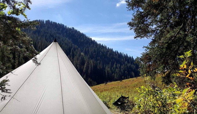 Horse Back Mountain Paradise