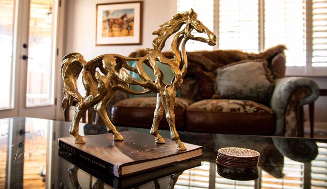 Horse-Centric Home in North Scottsdale!