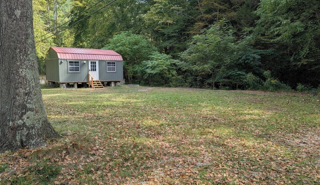 Horse Creek Cabins - Creekside Cabin near Ivy Branch