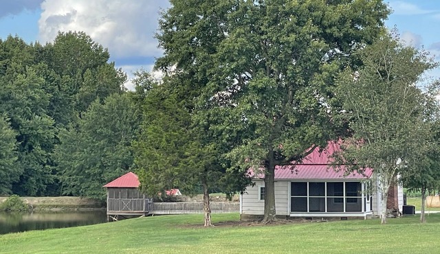 Horse farm 20 minutes from Clemson University