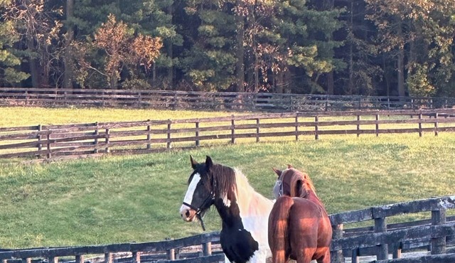 Horse lovers paradise with 2 bedrooms and WiFi, AC in Lake Geneva