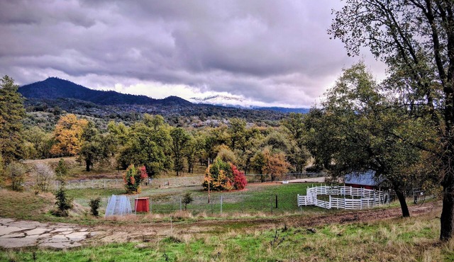 horse property with magnificent view nearSequoia/Kings Canyon National Park