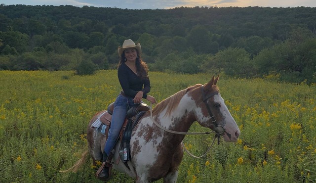 Horse Ranch Farmhouse sleeps 6