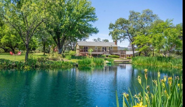 Horse riding, Ponds, Hot Tub, Canoeing, Farm stay