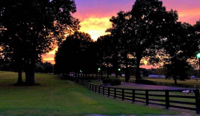 Horse Stall Suite 15 TESLA w Country Breakfast!