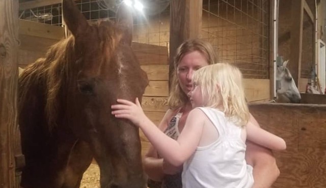 Horseback Riding Ranch Quality RV; Horses For All Ages and Levels on 25 acres!