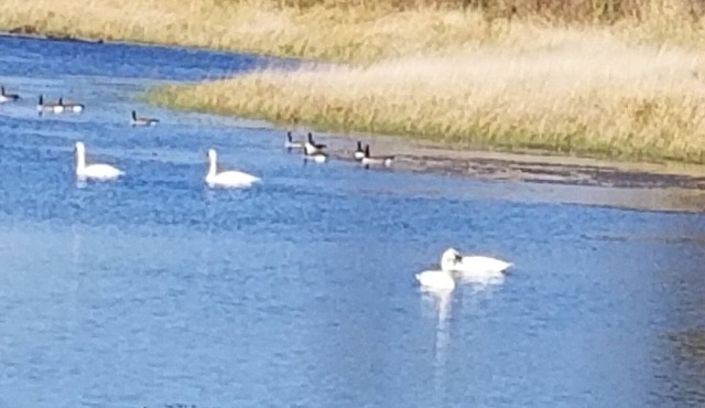 Horsehead Lake Retreat (Big Discounts in June Call 414-378-7273)