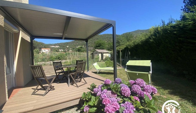 Hortensias - ARLES-SUR-TECH