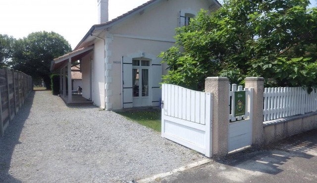 Hortensias - Ste-eulalie-en-born