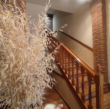 Hostal la Cepa