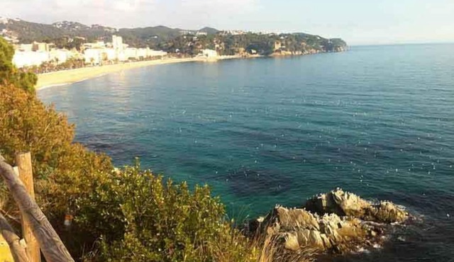 Hostal Ribas