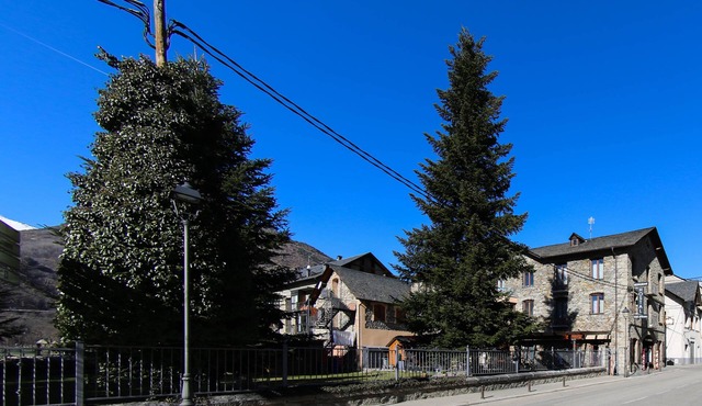 Hostal Vall d'Aneu