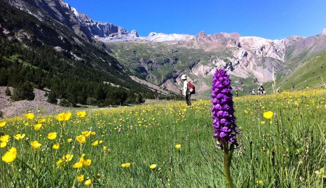 Hostel-Albergue Monte Perdido
