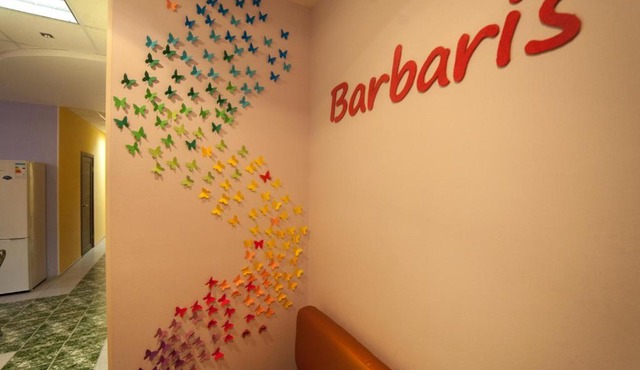 Hostel Barbaris on Pekhotnaya 17