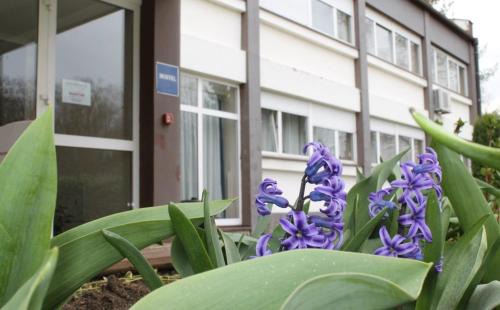 Hostel Rakitje-Rakitje za ulazak u hostel nazovite broj ispisan ispred vrata hostela