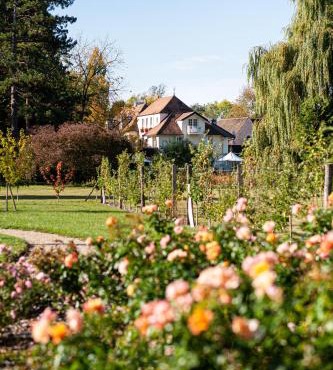Hostellerie De Levernois