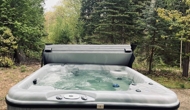 HOT TUB, beach access, 2-bdrm cottage just outside Port Austin with AC & WiFi #1