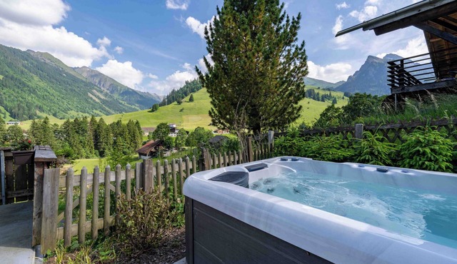 Hot Tub Chalet | BBQ Gondola + Nature + near Spiez