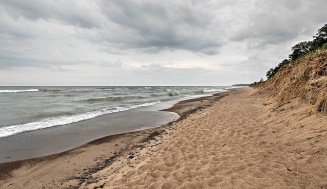 Hot Tub, Deck & Backyard: Cozy Union Pier House!