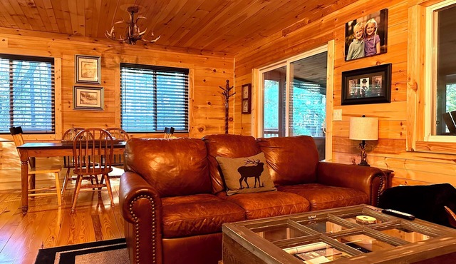 HOT TUB; FIRE PIT; FAST WIFI; Near Blue Ridge, Blairsville, Murphy, Folk School