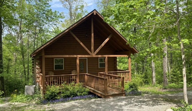 Hot Tub, Fire Pit, Large Decks & Blackstone Griddle