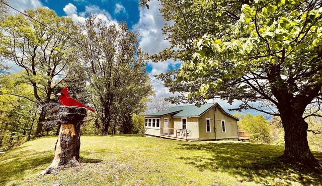 Hot Tub. Firepit. Game Room. Pet Friendly. 11 Acre Retreat.