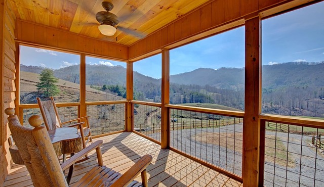 Hot Tub, Hiking & Farm Stay + Biltmore Pass | Cozy Cabin w/Cattle Views