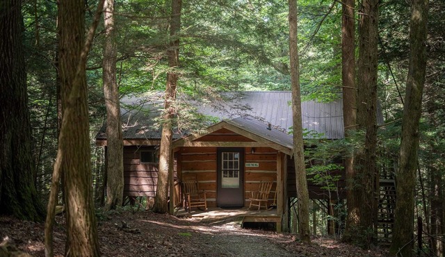 Hot Tub in the treetops with Timber Framed 2 bedroom cabin hidding in the woods
