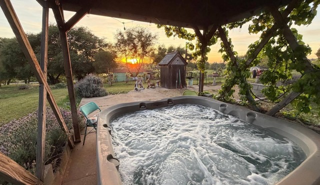 Hot Tub, Modernized house, Pet Friendly & Lake View Retreat in Shingle Springs
