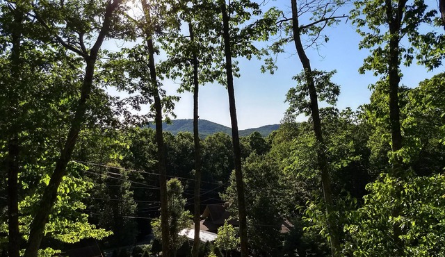Hot Tub, Mtn View, High Speed WIFI- close to town yet away from it all !