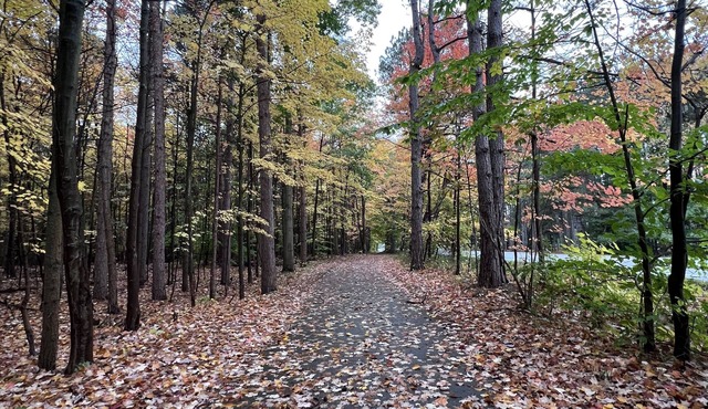 Hot tub, Nature, Parks and Beaches! Right in between Holland and Grand Haven.