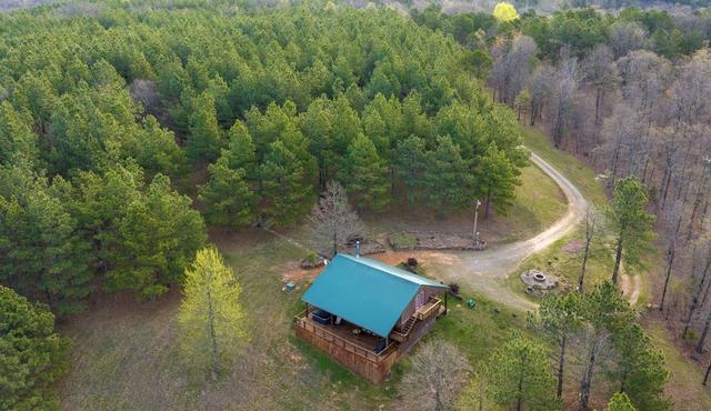 Hot Tub, Patio, and Fire Pit - Cooper's Ozark Cabin
