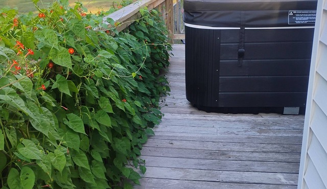 Hot Tub~Pooltable~MovieScreen~NrbyShoppingDiningGoCarts~Kilmarnock Rivah Retreat