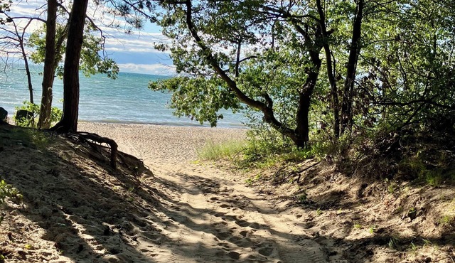 Hot Tub, pristine beach access, 2-bdrm cottage with AC, WiFi near Port Austin #2