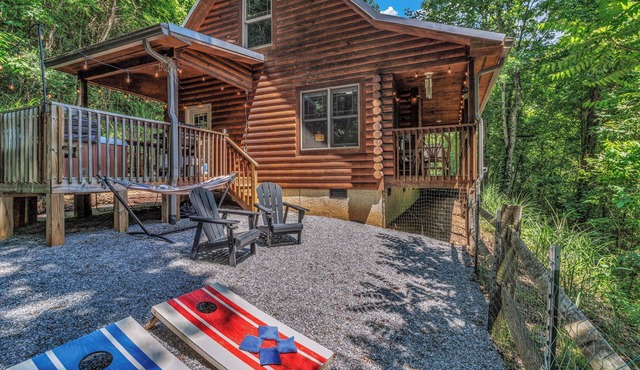 Hot Tub Private Cabin Fenced Yard Fireplace 15 min to DT & Biltmore Games