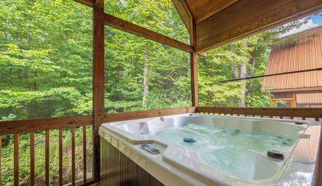 Hot Tub Soaks, Summertime Swimming, Fireside Chats & Appalachian Fun Nearby - Dancing Bear Hideaway