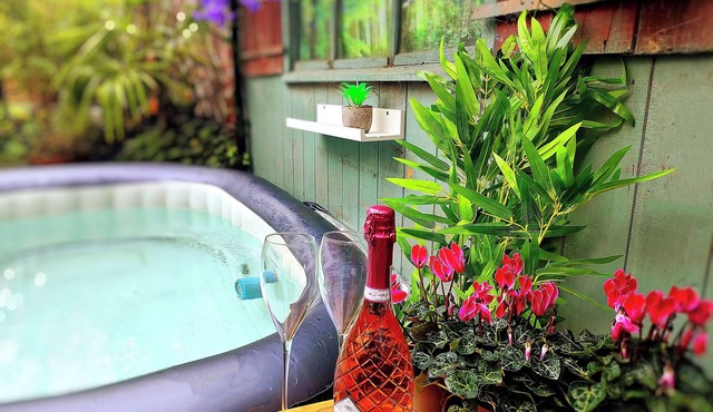 🍾 Hot Tub Steam Spa Pizza Oven Roll-Top Bath Netflix Pets OK Durham