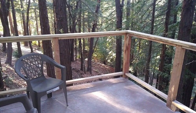 Hot tub treehouse in the redwoods